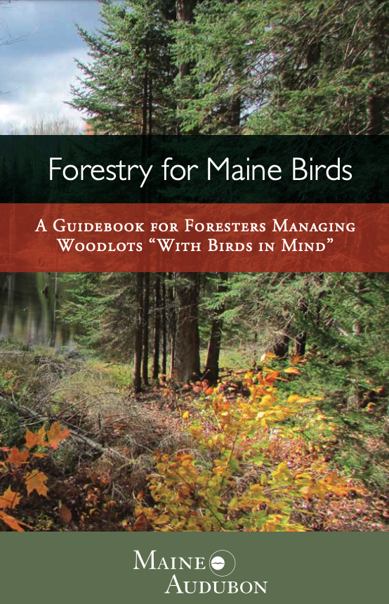 Forestry for the birds