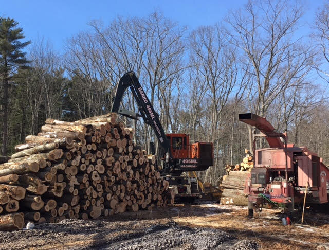 Updates from Our Certified Logging Professionals Program