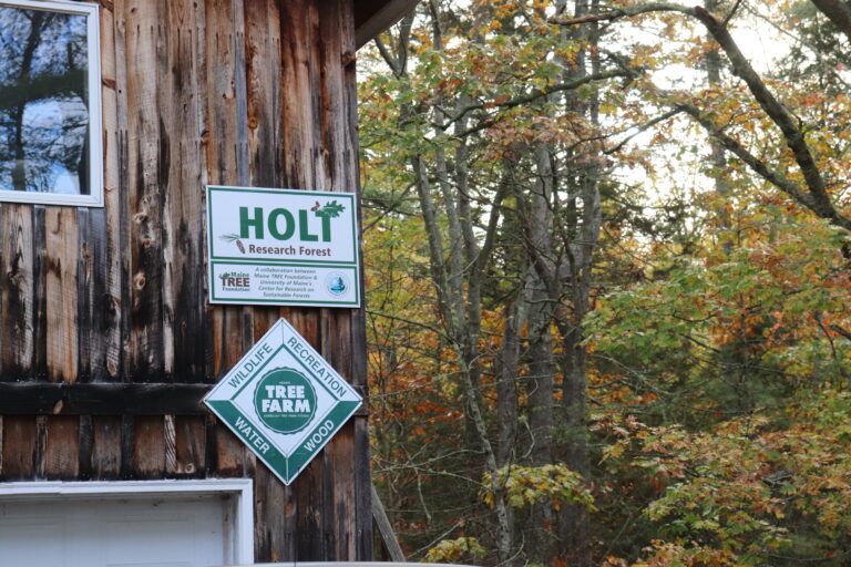 REGISTER: Holt Research Forest Harvest Tour