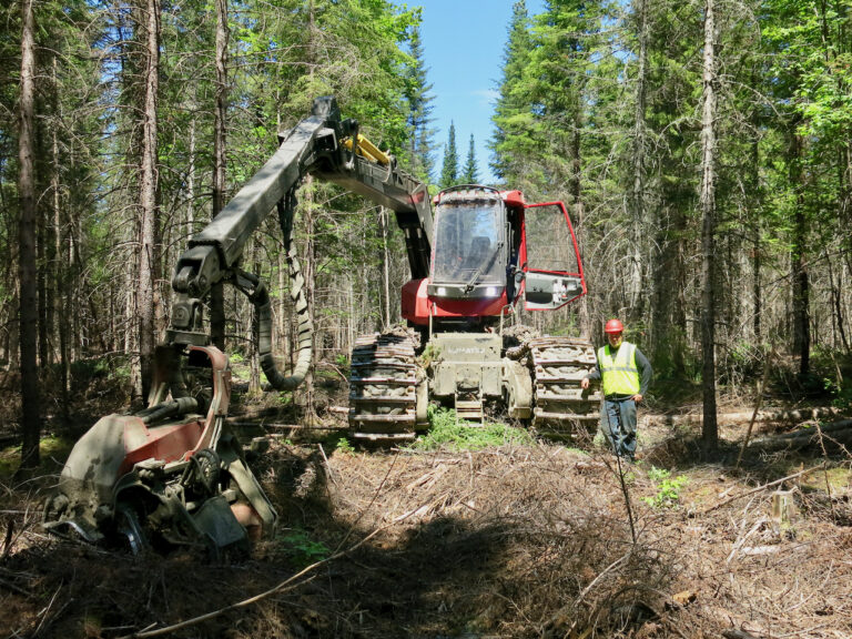 Nominate a Logger for CLP’s Logger of the Year Award