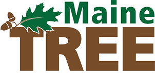 Maine TREE Foundation