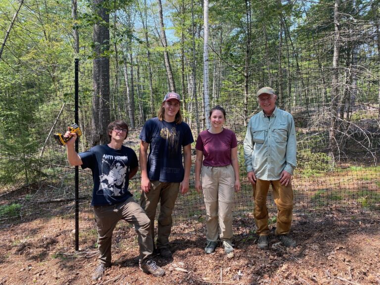 2021 Holt Research Forest Interns