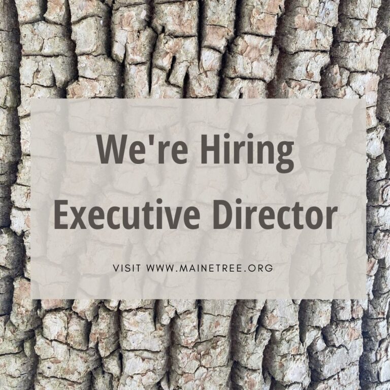 We’re Hiring: Executive Director