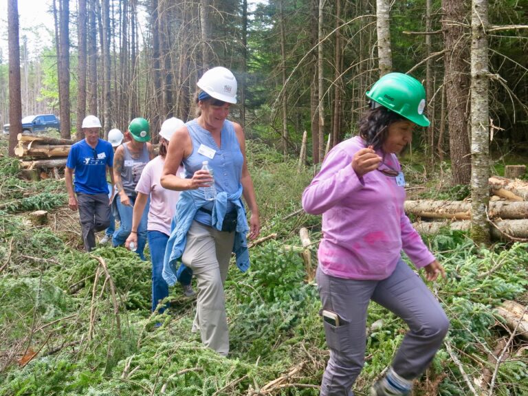 Connecting Students & Teachers to Maine’s Forests