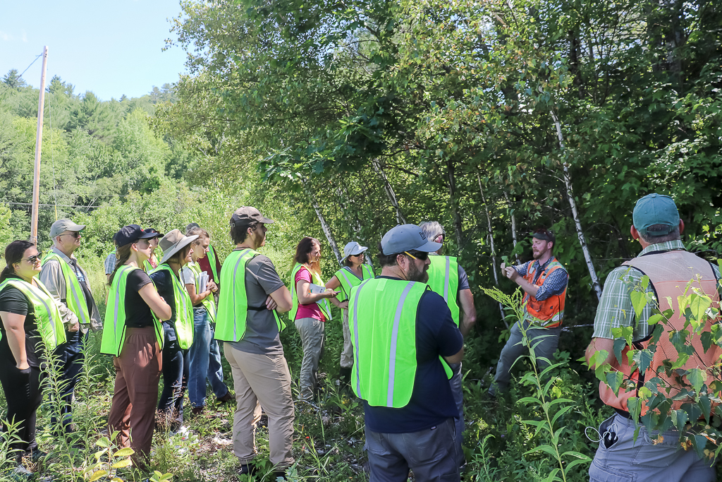 Forester shares Tree ID skills with Teachers