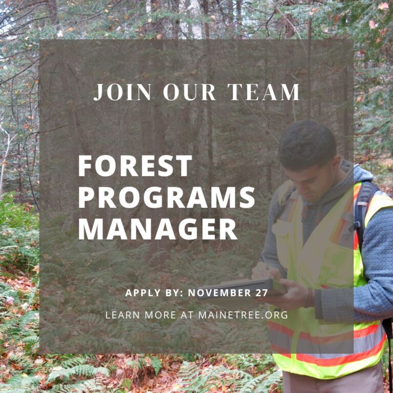 Join Our Team: Forest Programs Manager